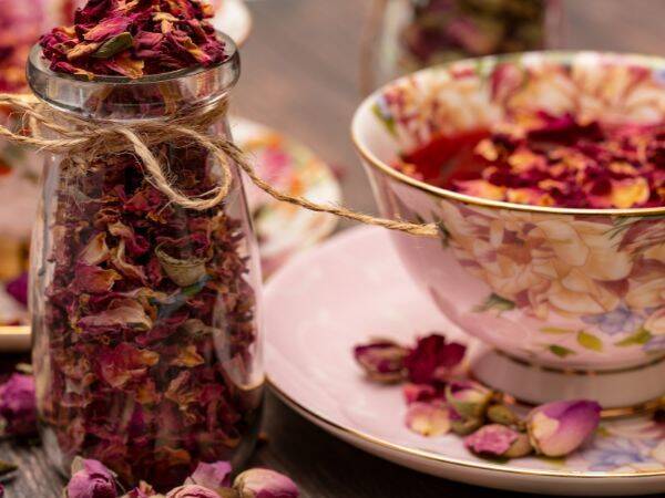 Dlaczego warto pić herbatę z dzika róży