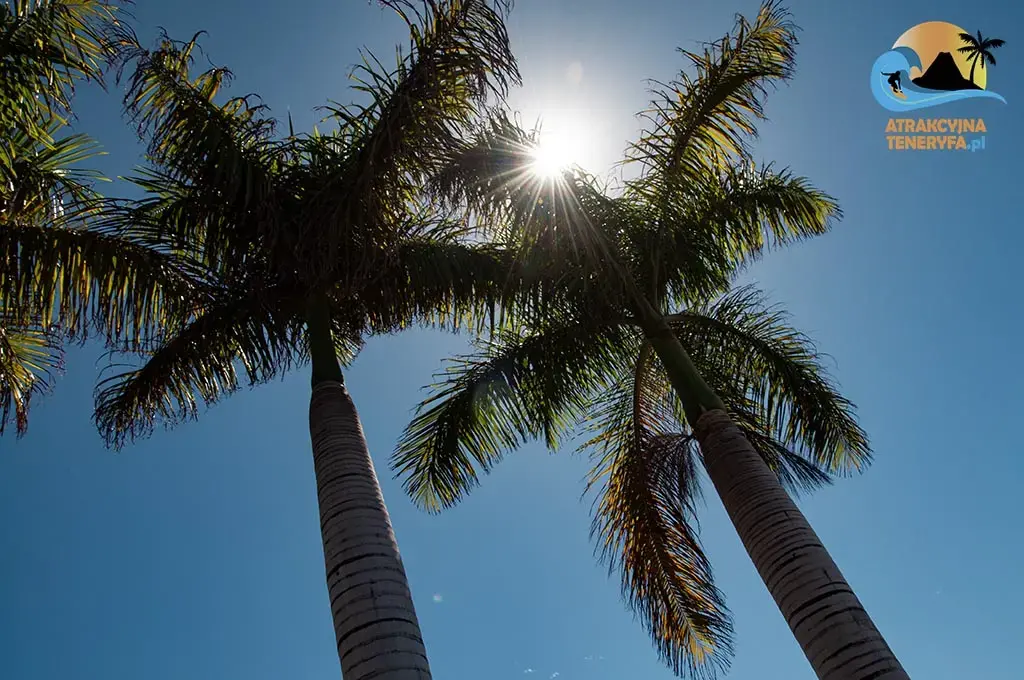 Pogodowe ekstrema: Rekordy temperatur na Teneryfie